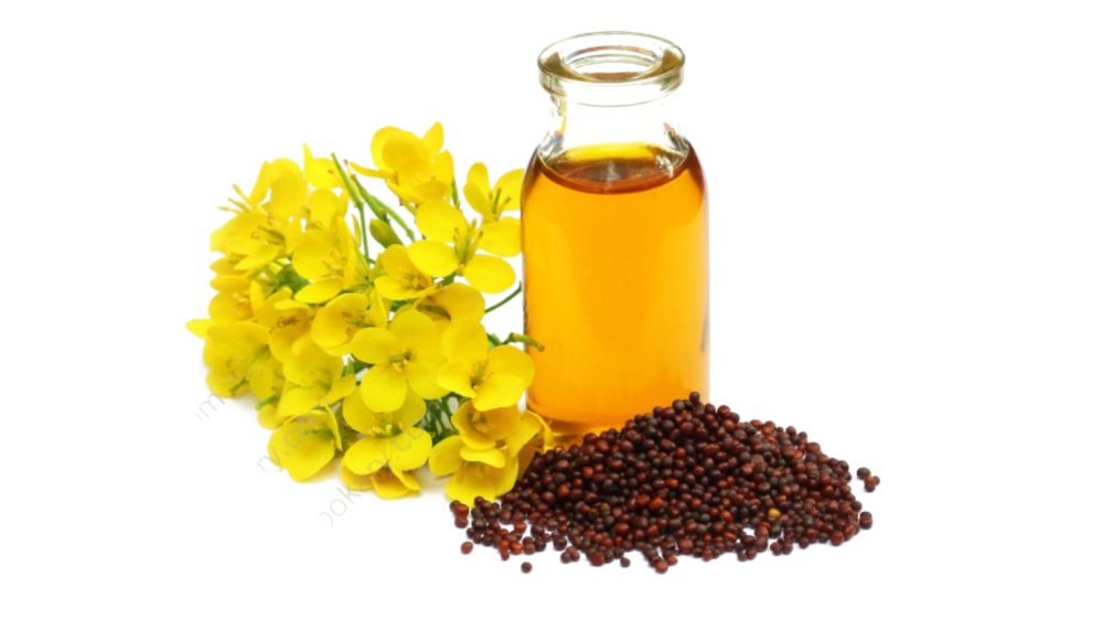 mustard oil is neither healthy or not,Mustard oil is neither healthy nor harmful,is mustard oil healthy for cooking,is mustard oil healthy,