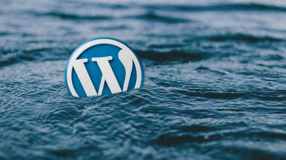 What is WordPress, what is wordpress development,what is wordpress hosting,what is wordpress,what is wordpress website,what is wordpress used for,How to learn WordPress,
