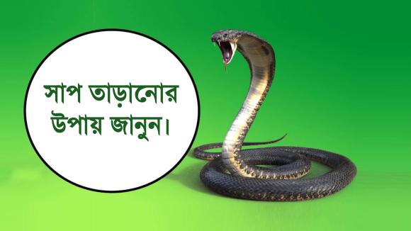 সাপ তাড়ানোর কিছু উপায় ও করণীয়