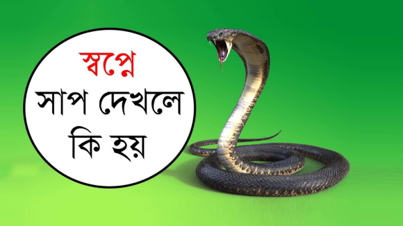 স্বপ্নে সাপ দেখলে কি হয়,স্বপ্নে সাপ ছোবল দিতে দেখলে কী হয়,নারীরা স্বপ্নে সাপ দেখলে কী হয়,গর্ভাবস্থায় স্বপ্নে সাপ দেখলে কী হয়,স্বপ্নে সাপ উড়তে দেখলে কী হয়,স্বপ্নে সাদা সাপ দেখলে কি হয়,স্বপ্নে সাপ ধরতে দেখলে কি হয়,