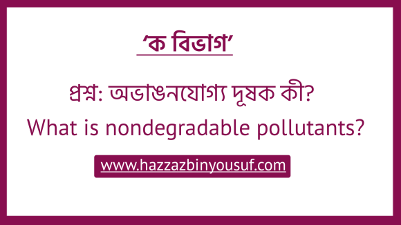 অভাঙনযোগ্য দূষক কী, (What is nondegradable pollutants)