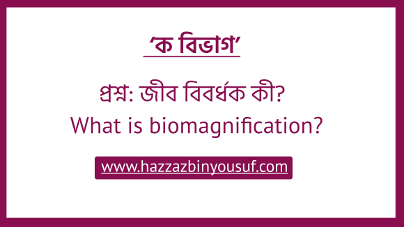 জীব বিবর্ধক কী, (What is biomagnification)