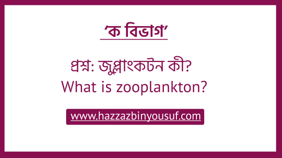 জুপ্লাংকটন কী, (What is zooplankton)