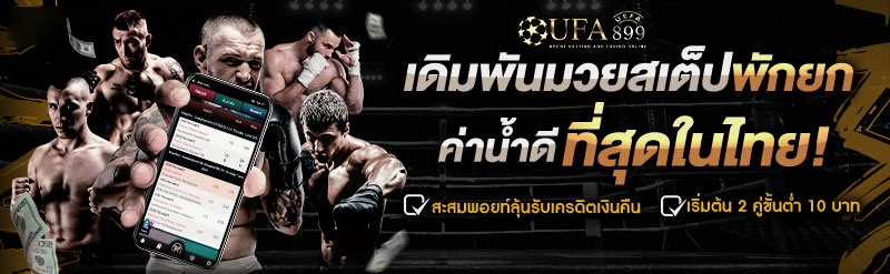 เว็บแทงบอล